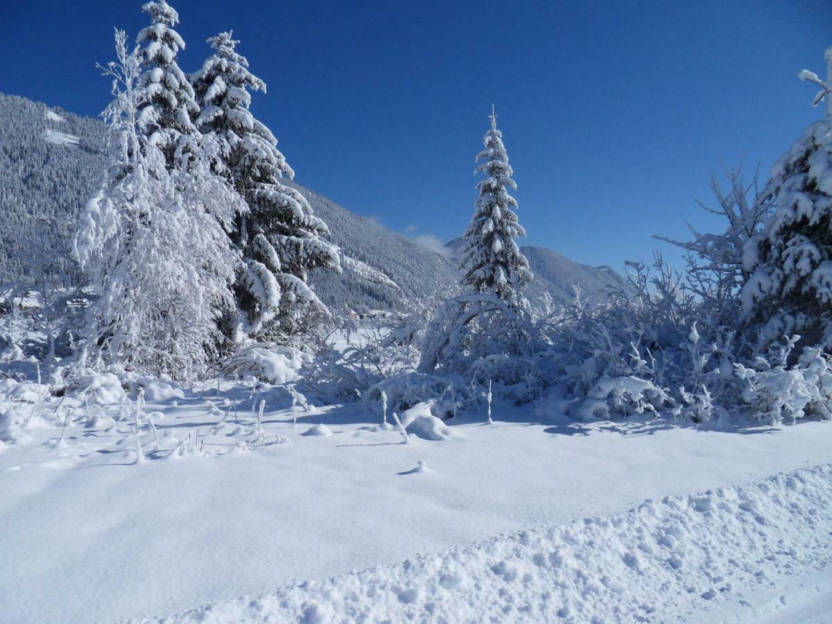 Appartamento Haus Waldblick Weissensee Esterno foto